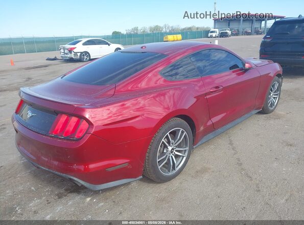 1FA6P8TH7G5292741 2016 FORD MUSTANG Red Rear right