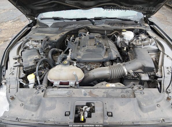 1FA6P8TH7J5113086 2018 FORD MUSTANG Gray Вид ззаду