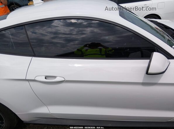 1FA6P8TH7P5102095 2023 FORD MUSTANG Белый Вид задней части салона