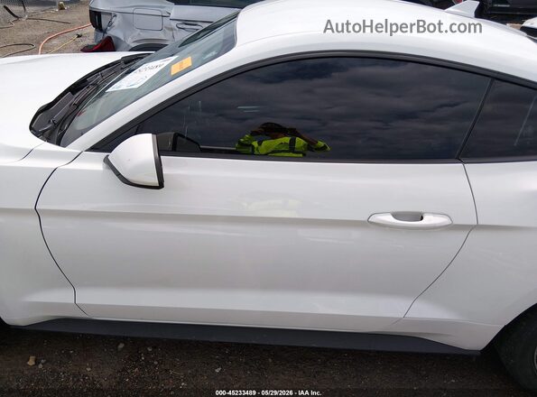 1FA6P8TH7P5102095 2023 FORD MUSTANG Белый Панорамный вид салона 360°