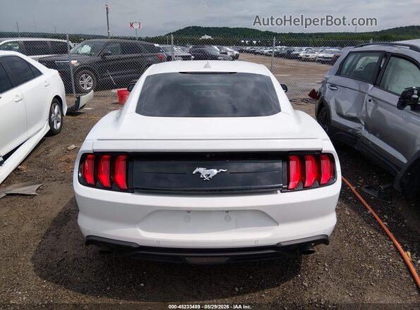 1FA6P8TH7P5102095 2023 FORD MUSTANG Белый 