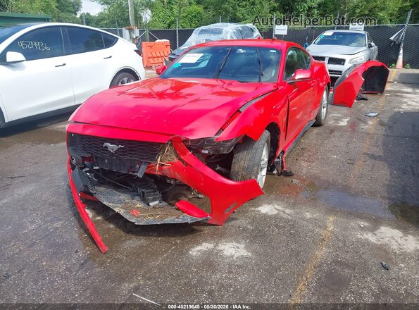 1FA6P8TH7R5108210 2024 FORD MUSTANG Red 