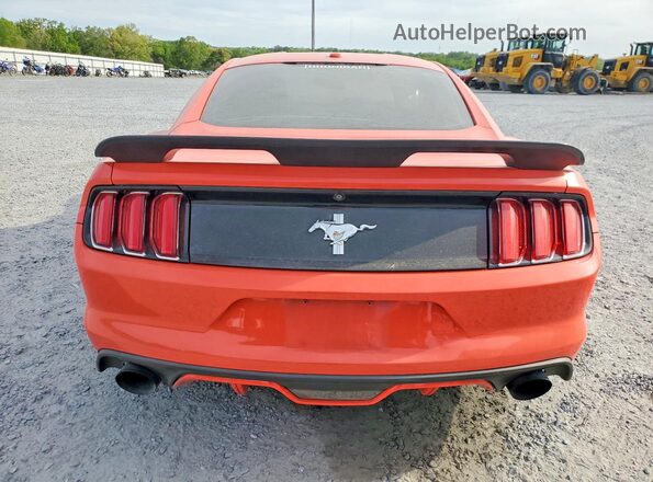 1FA6P8TH8G5224237 2016 FORD MUSTANG Red Rear view