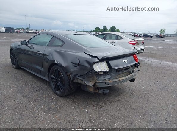 1FA6P8TH8H5335033 2017 FORD MUSTANG Gray Tył lewy