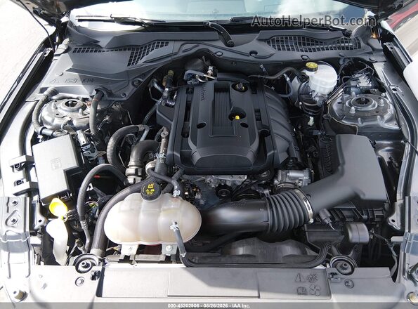 1FA6P8TH8K5122350 2019 FORD MUSTANG Gray Widok z tyłu
