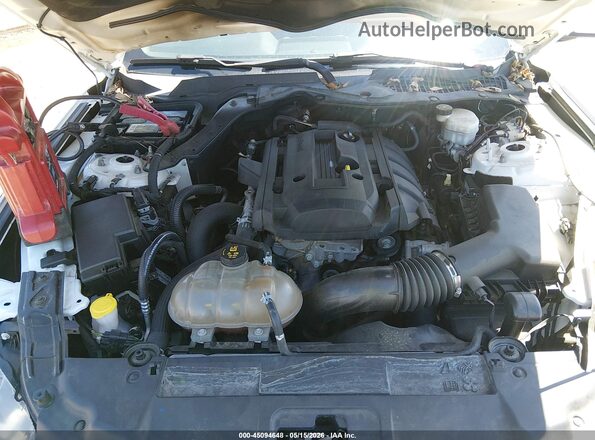 1FA6P8TH8L5103587 2020 FORD MUSTANG White უკანა ხედი