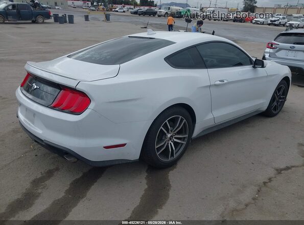 1FA6P8TH8P5109539 2023 FORD MUSTANG White უკანა მარჯვენა