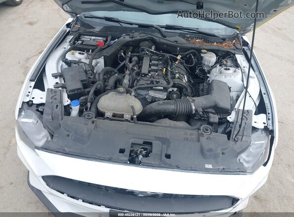 1FA6P8TH8P5109539 2023 FORD MUSTANG White უკანა ხედი