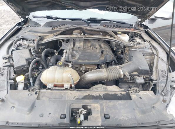 1FA6P8TH9K5111485 2019 FORD MUSTANG Gray Հետևի տեսք