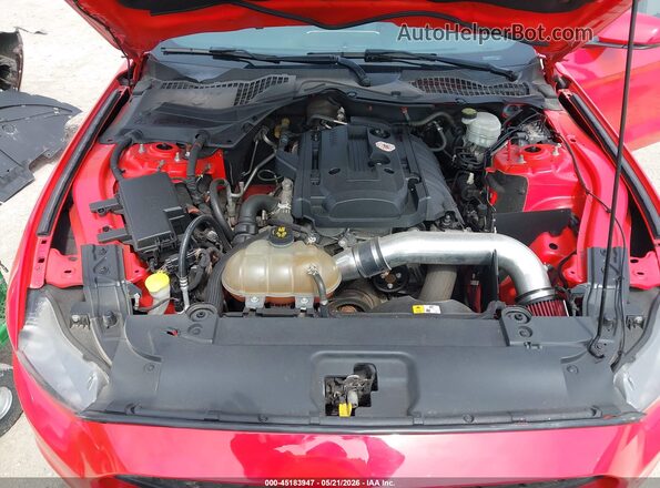 1FA6P8THXG5313839 2016 FORD MUSTANG Red Widok z tyłu