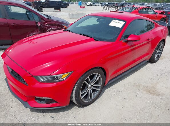 1FA6P8THXG5313839 2016 FORD MUSTANG Red Przód lewy