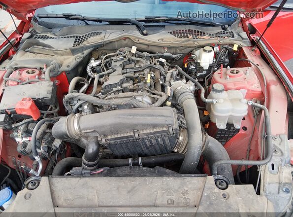 1FA6P8THXR5138088 2024 FORD MUSTANG Red Widok z tyłu