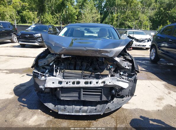 1FADP3F23GL245803 2016 FORD FOCUS Gray Սալոնի հետևի տեսք