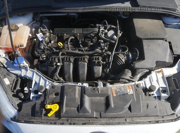1FADP3F26GL373503 2016 FORD FOCUS Белый Вид задней части салона