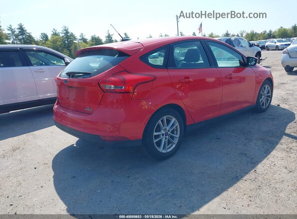 1FADP3K25GL351935 2016 FORD FOCUS Red Tył prawy