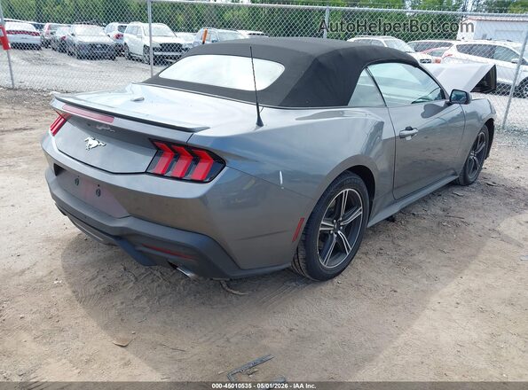 1FAGP8UH1S5117798 2025 FORD MUSTANG Gray Tył prawy
