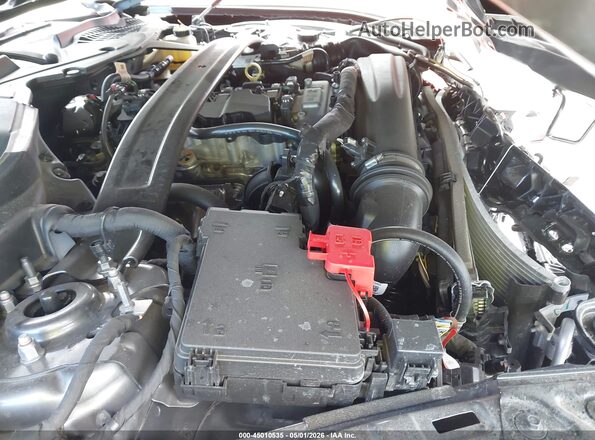 1FAGP8UH1S5117798 2025 FORD MUSTANG Gray Widok z tyłu