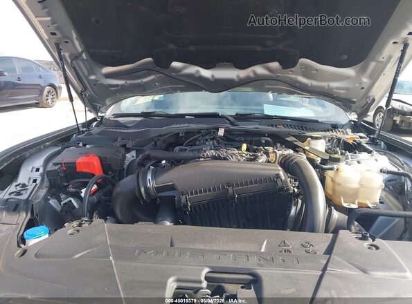 1FAGP8UH7R5113121 2024 FORD MUSTANG Silver Rear view