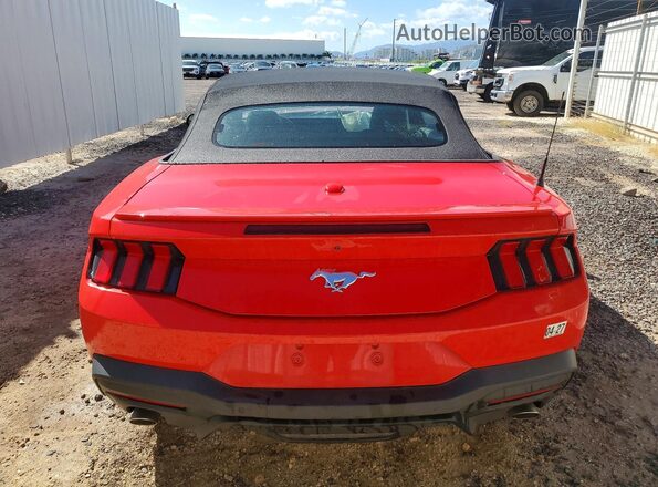 1FAGP8UH7R5127097 2024 FORD MUSTANG Красный Вид сзади