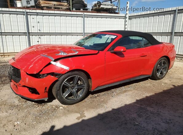 1FAGP8UH7R5127097 2024 FORD MUSTANG Красный 