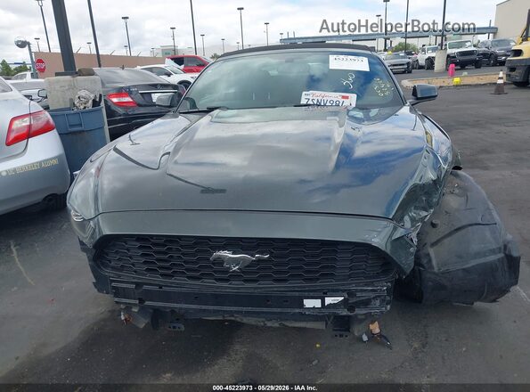 1FATP8EM2G5318210 2016 FORD MUSTANG Gray Սալոնի հետևի տեսք