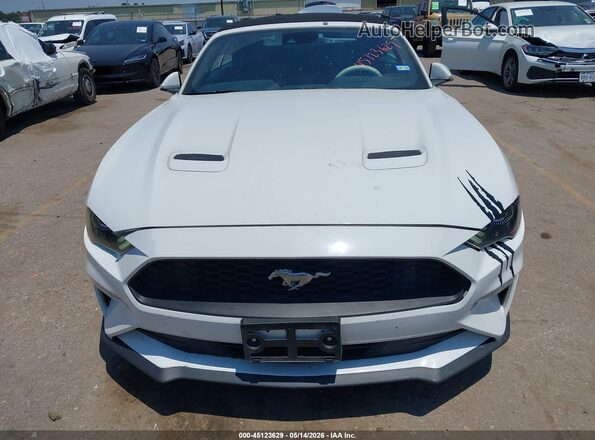 1FATP8UH4M5124312 2021 FORD MUSTANG White 