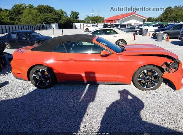 1FATP8UH5G5299950 2016 FORD MUSTANG Оранжевый Вид задней части салона