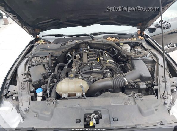 1FATP8UH6M5121024 2021 FORD MUSTANG Black Հետևի տեսք