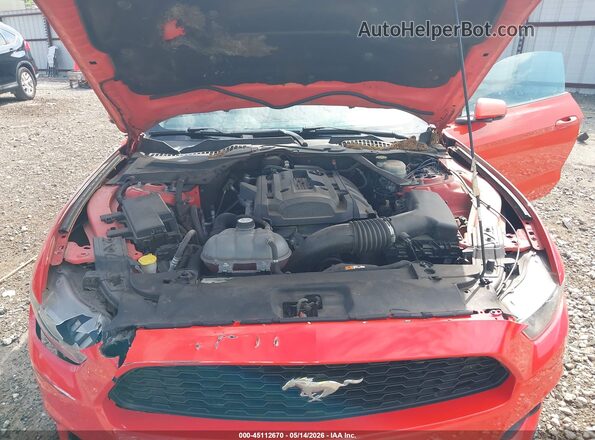 1FATP8UH7G5281496 2016 FORD MUSTANG Orange უკანა ხედი