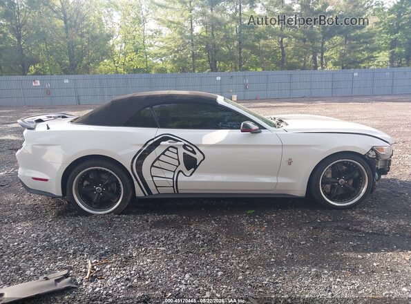 1FATP8UH8G5204684 2016 FORD MUSTANG Белый Вид задней части салона