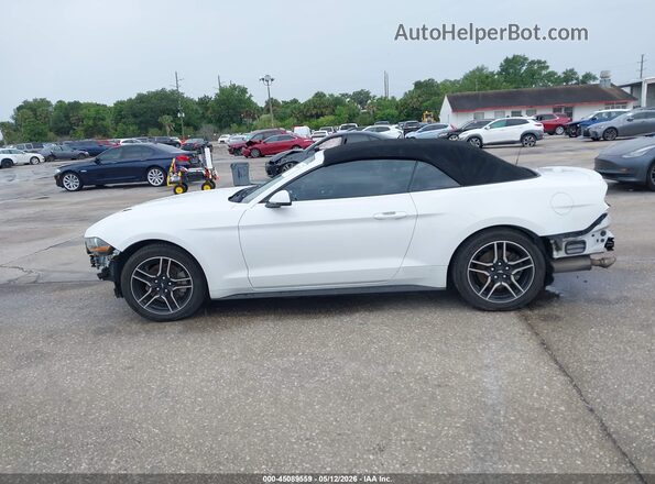 1FATP8UHXK5187511 2019 FORD MUSTANG White 