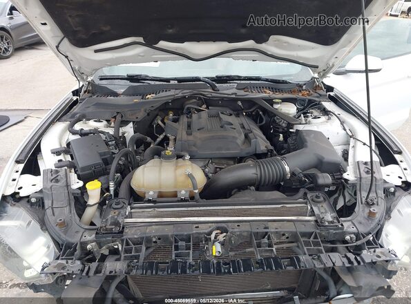 1FATP8UHXK5187511 2019 FORD MUSTANG White Հետևի տեսք
