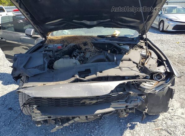 1FATP8UHXP5103470 2023 FORD MUSTANG Gray Vista interior trasera