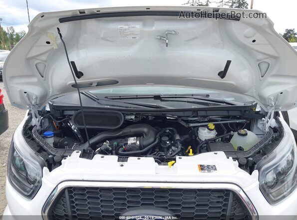 1FBAX2Y84TKA42058 2026 FORD TRANSIT-350 White Հետևի տեսք