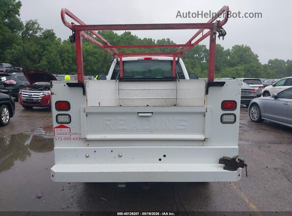 1FDBF2B61HEB42100 2017 FORD F-250 Белый 