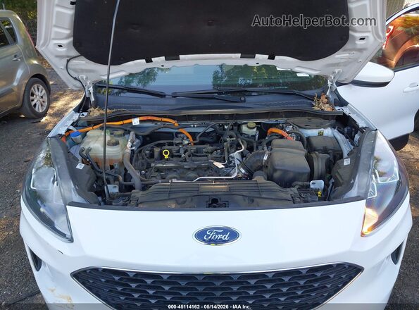 1FMCU0BZ7MUA23802 2021 FORD ESCAPE Белый Вид сзади