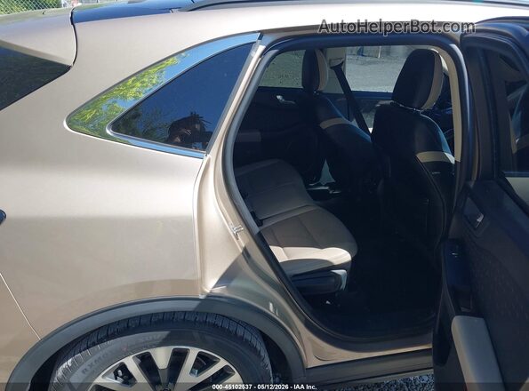 1FMCU0DZ5LUB93880 2020 FORD ESCAPE Beige Widok naklejki z numerem VIN