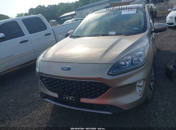 1FMCU0DZ5LUC40258 2020 FORD ESCAPE Gold 
