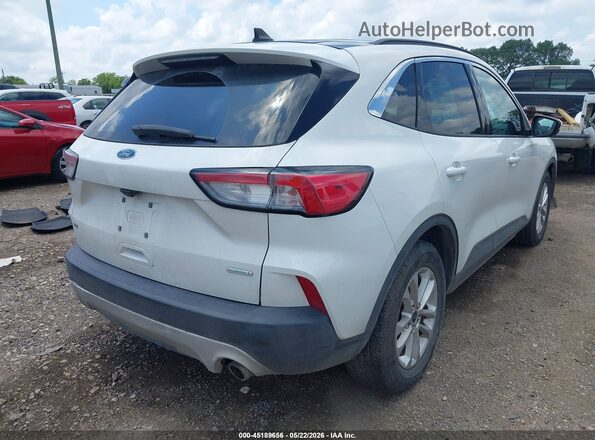 1FMCU0G60LUB23866 2020 FORD ESCAPE White Trasero derecho