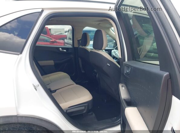 1FMCU0G60LUB23866 2020 FORD ESCAPE White Vista de la etiqueta del VIN
