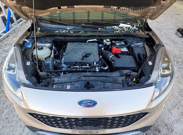 1FMCU0G61LUB24170 2020 FORD ESCAPE Желто-коричневый Вид подкапотного пространства