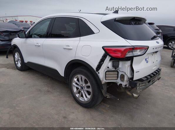 1FMCU0G65LUC18438 2020 FORD ESCAPE White Tył lewy