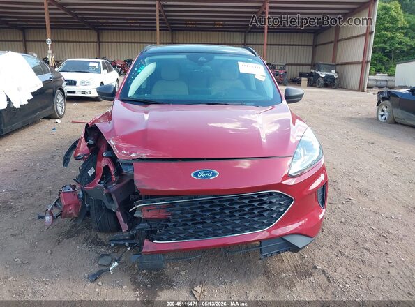 1FMCU0G66NUB44773 2022 FORD ESCAPE Red Vista interior trasera