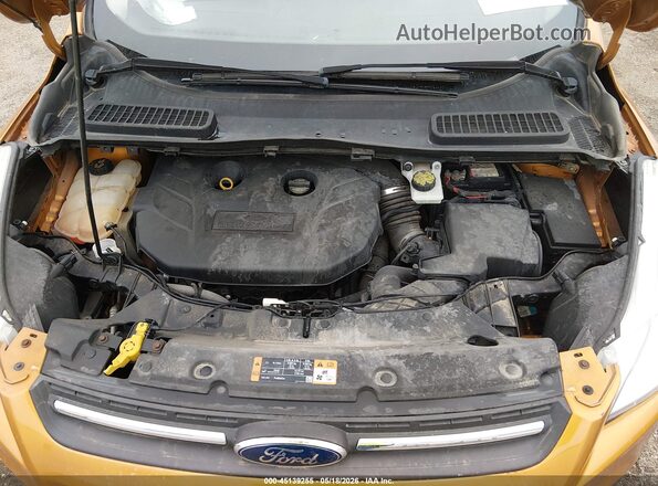 1FMCU0G92GUB25280 2016 FORD ESCAPE Orange Vista trasera