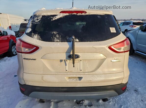1FMCU0G96GUB35617 2016 FORD ESCAPE Белый Вид сзади