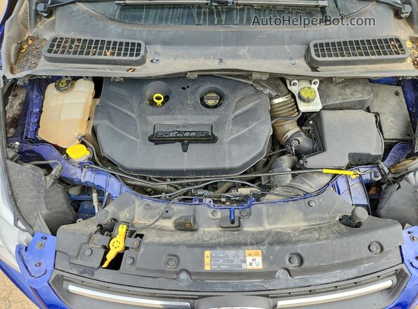 1FMCU0G98GUB75729 2016 FORD ESCAPE Blue 