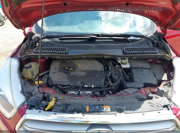 1FMCU0GD0HUE64500 2017 FORD ESCAPE Red Widok z tyłu