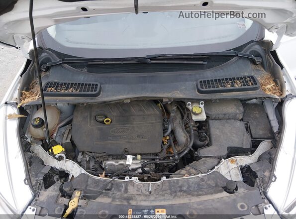 1FMCU0GD0JUC32453 2018 FORD ESCAPE White Rear view