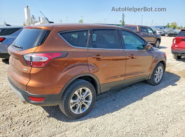 1FMCU0GD5HUA53853 2017 FORD ESCAPE Золотой 