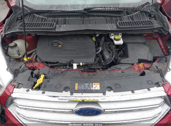 1FMCU0GD5HUD37497 2017 FORD ESCAPE Red Հետևի տեսք